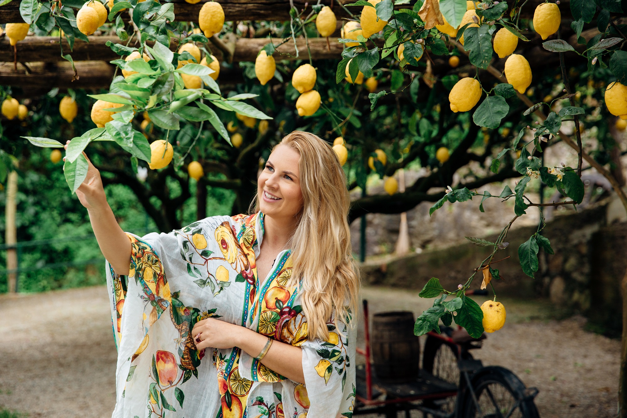 Ar žinote vietą, kur citrinomis medžiai pražysta?